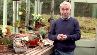 Richard Jackson Astuces de jardinage Faire croître vos patates maison