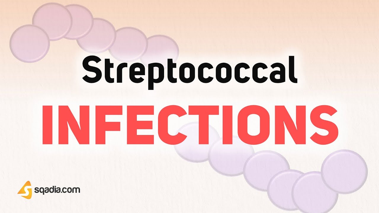 Streptococcal Infections | Microbiology