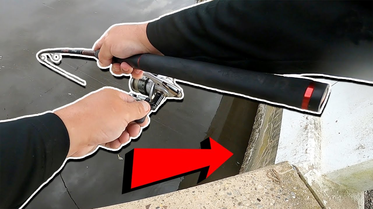 Striped Bass Fishing in Delaware