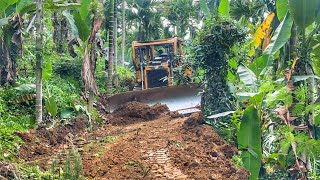 Процесс прокладки новой дороги на плантации масличных пальм с помощью бульдозера D6R XL