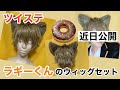 【ツイステ】ラギー・ブッチのウィッグカット&セット【コスプレ】Twisted Wonderland Ruggie Bucchi cosplay wig styling