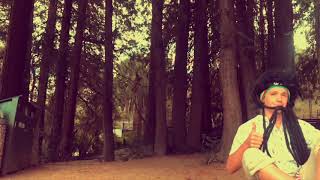 APES Biome Music Video
