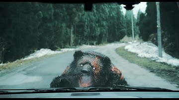 鈴木福 VS “最強”ヒグマ　映画『ヒグマ!!』予告編　『ミスミソウ』内藤瑛亮監督