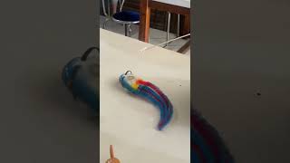 Mainan Lele Dumbo indonesian streettoys toys