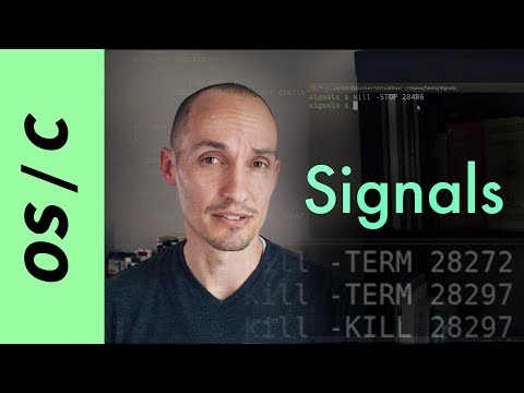What signal does Ctrl-Z send?