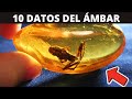 PIEDRA ÁMBAR: 10 DATOS INTERESANTES DE LA PIEDRA ÁMBAR 🟠❤️