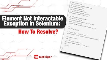 Element Not Interactable Exception in Selenium: How To Resolve?