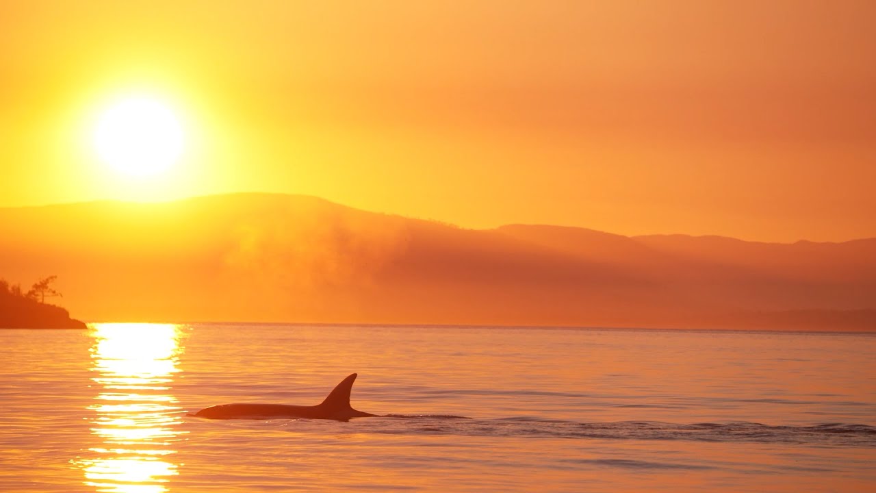 Greater Victoria: A Sustainable Future