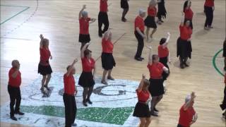Exhibició Juny 2017- 6ª Entrega - Danza Gitana