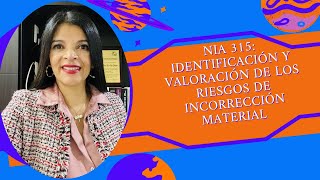 114. Nia 315 Identificación Y Valoración De Los Riesgos De Incorrección Material