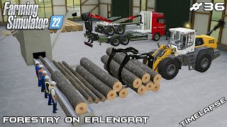 Starting SQUER TIMBER & PLANK production | Forestry on ERLENGRAT | Farming Simulator 22 | Episode 36