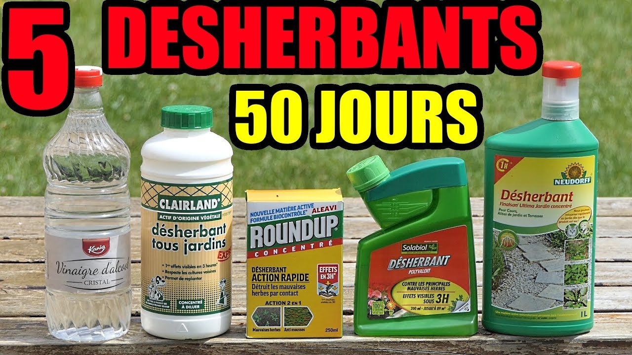 5 DESHERBANTS TEST VINAIGRE BLANC LIDL ROUNDUP SOLABIOL CLAIRLAND