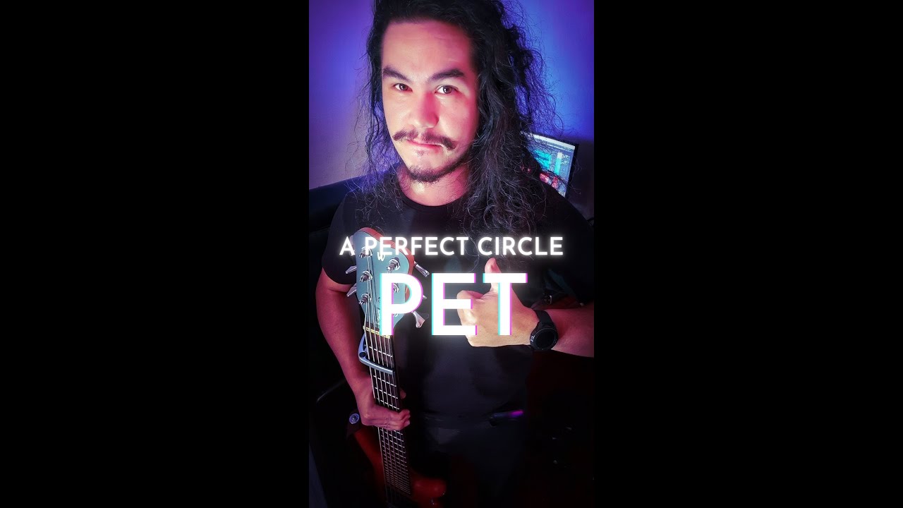 A PERFECT CIRCLE Pet Bass Cover YouTube 