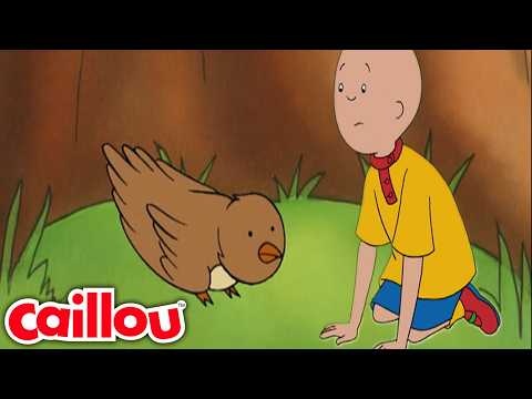 Der kleine Vogel | Cartoons voor kinderen | Caillou auf Deutsch