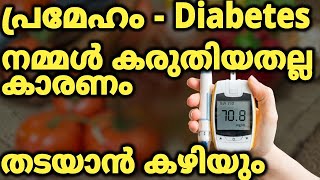 പ്രമേഹത്തിൻ്റെ യഥാർത്ഥ കാരണം നമ്മൾ കരുതിയതല്ല | Insulin  Resistance | Diabetes