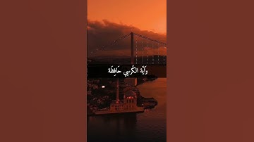 إذا كانت سورة الفاتحة شفاء وسورة البقرة بركة وسورة الملك منجية وسور المعوذات حصن وآية الكرسي حافظة..