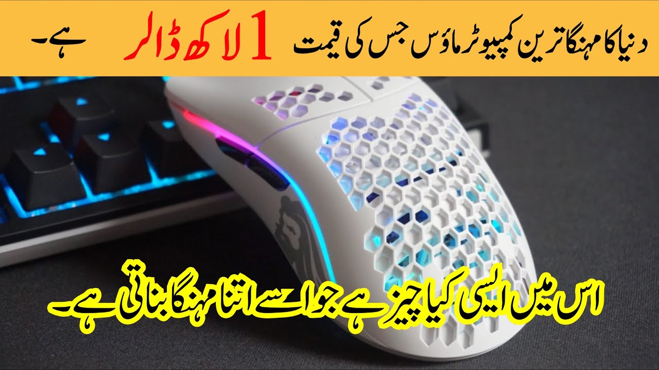 The most expensive mouse in the world YouTube
