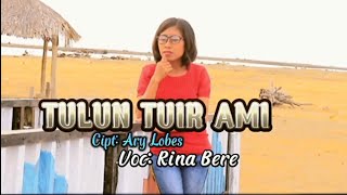Download Lagu TULUN TUIR AMI... Rina Bere MP3
