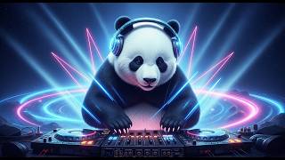 Global Fever: DJ Panda's 