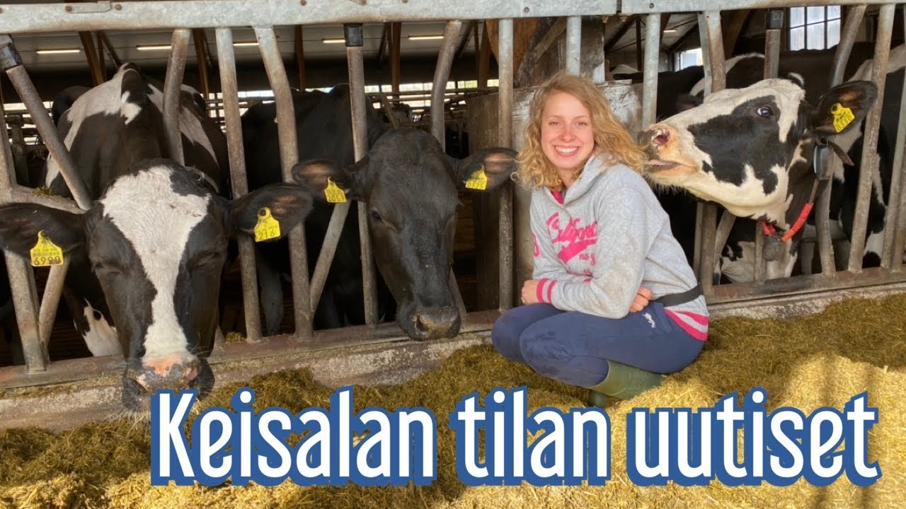 Keisalan tilan uutiset 2