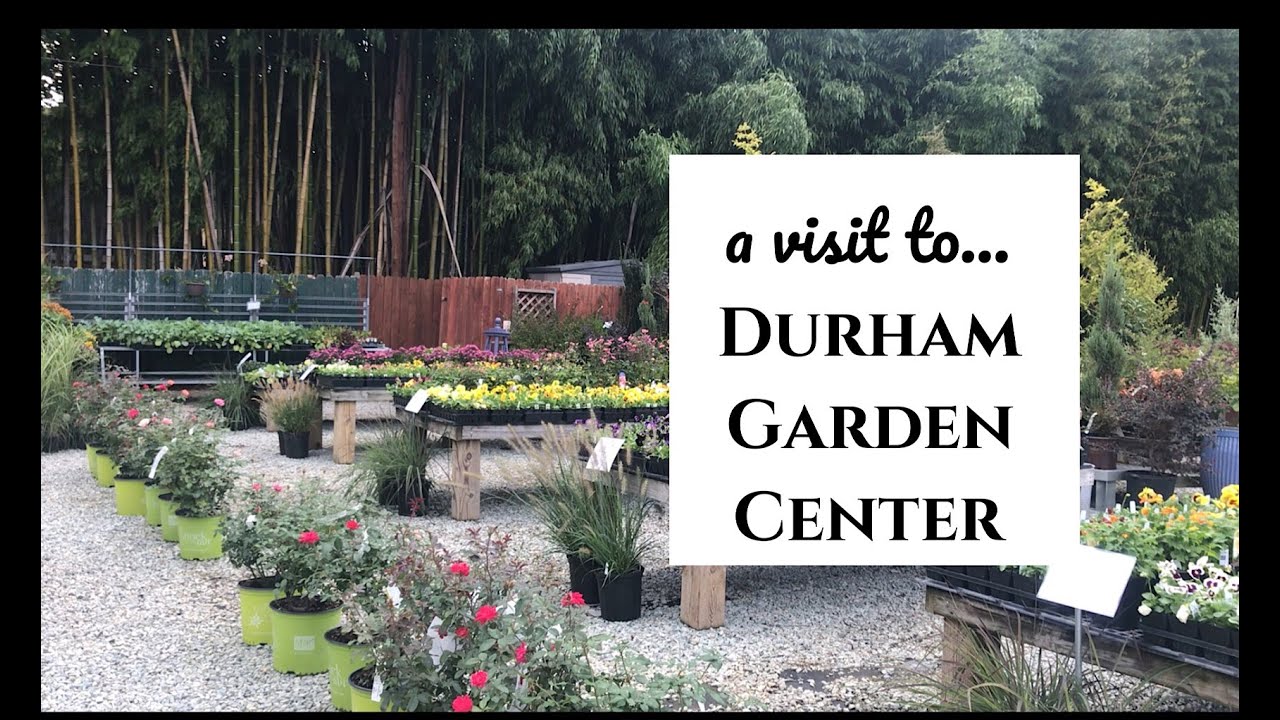 A Visit To Durham Garden Center And A Friendly Squirrel Youtube