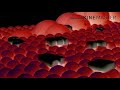 NEW EFFECT Samsung Logo Balls In G Major 1 