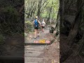 This was insane! #ultrarunning #sydney