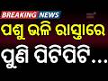 ପଶୁ ଭଳି ପୁଣି ପିଟିପିଟି...Berhampur Shocker: Young Couple Beaten With Sticks On Road | Odia News