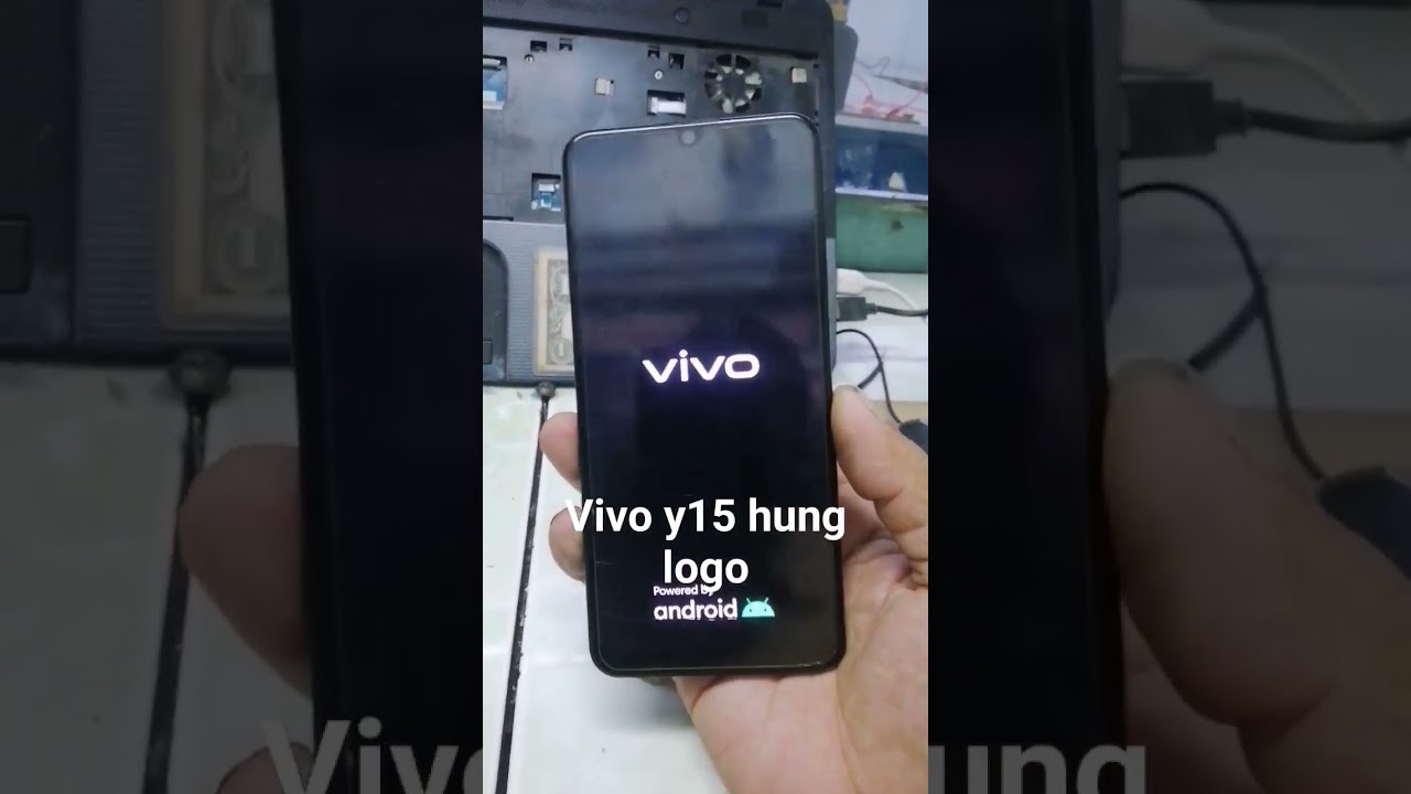 vivo y15 hung logo only 