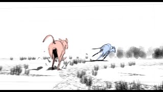 Whippet GP Installation & Demo Tutorial - Blender Storyboard Addon