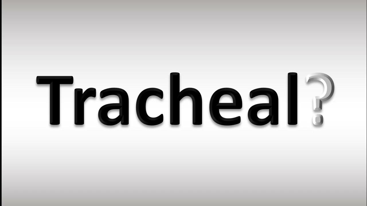 How to Pronounce Tracheal YouTube