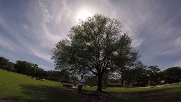 00022 - Upside Down 1