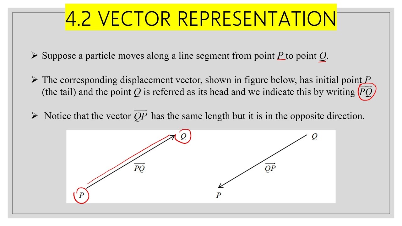 what is vector representation