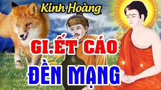 Kinh Hoàng! Gi.ết Cáo Và Cái Kết Đền Mạng | Chuyện Nhân Quả Báo Ứng, Sát Sanh Hại Vật Chịu Quả Báo