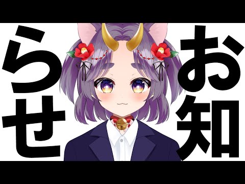 今後の活動について