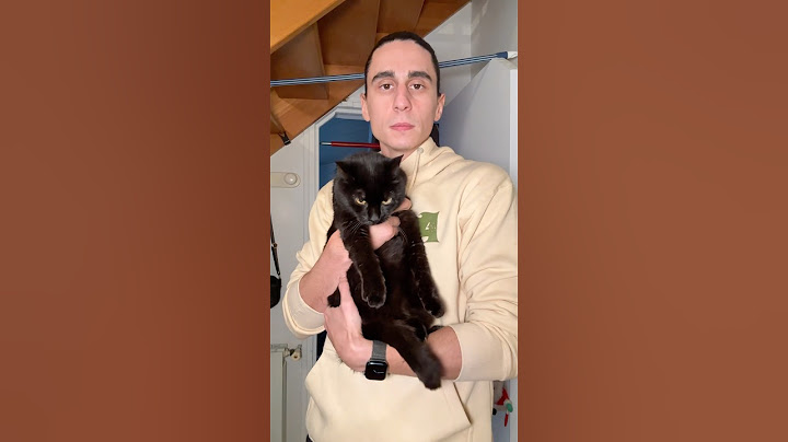 Combien de chats peuvent porter un humain ?
