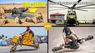 20 DATOS CURIOSOS que NO sabias hace 5 minutos 91