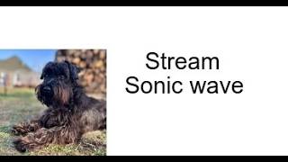 [Day 93] Jumping to Sonic Wave Rebirth from Nine circles 74% 46-100% x4