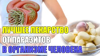 СРЕДСТВО ОТ ГЛИСТОВ ПАРАЗИТОВ ДЛЯ ЧЕЛОВЕКА 💡 ЧТО ПРОПИТЬ ПРОТИВ ГЛИСТОВ