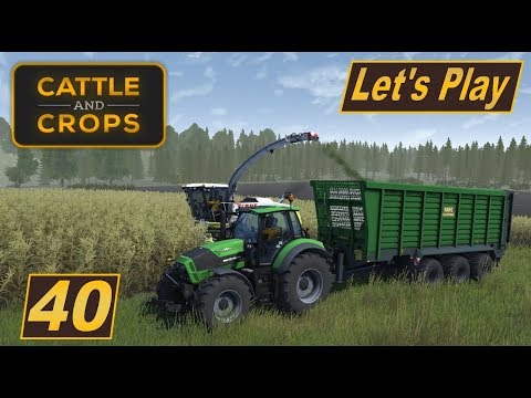 cattle and crops roadmap Cattle and Crops #40 Auf gehts Mais häckseln #Landwirtschaft Simulator #deutsch #Lets Play #HD