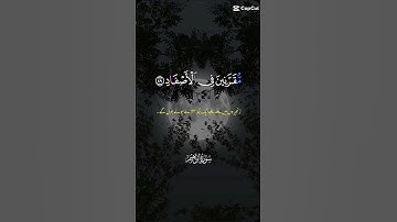 #قران_كريم #ارح_قلبك #تلاوة_خاشعة