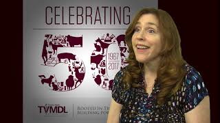 TVMDL Oral History – Sonia Lingsweiler's Start at TVMDL