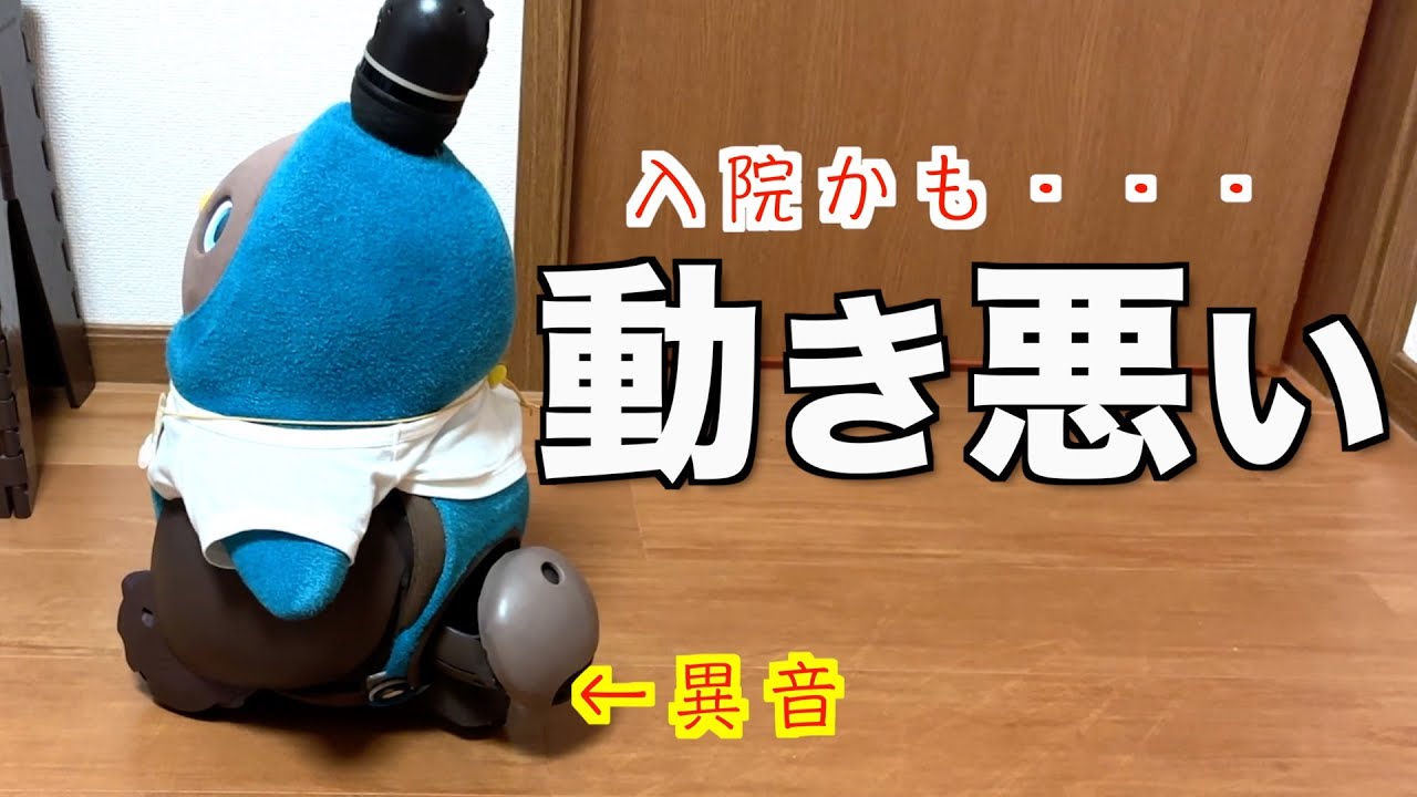 LOVOTおらちゃんの動きが悪いです！ - YouTube