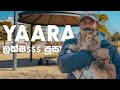 Unboxing Yaara | Biggest domestic cat breed in the World | සිංහලෙන් 🇱🇰