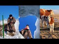 روتين الشاب المنغولي وسط سهوب منغوليا المتجمدة راحة نفسية ثلوج هدوء 