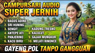 CAMPURSARI AUDIO SUPER JERNIH BASS MANTAP GAYENG POL TANPO GANGGUAN 💥