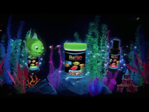 فيديو: التاريخ والعلم وراء GloFish