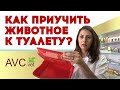 Как приучить питомца к туалету?