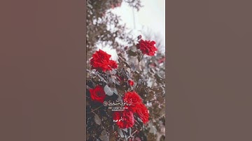 أجمل تلاوه  من سورة النمل #القارئ ياسر الدوسري