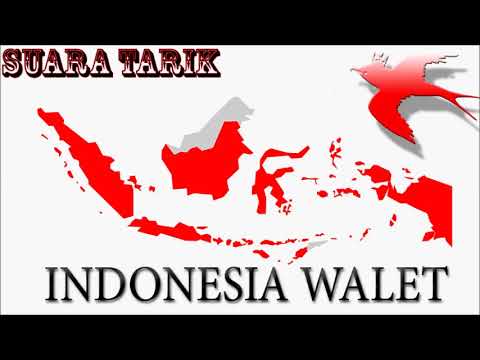 Suara Walet Tarik Indonesia 13